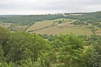 Cjp_2012_08_24_065250.jpg
