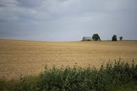 Cjp_2012_08_24_112627.jpg
