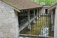Cjp_2012_08_24_132306.jpg