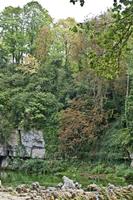Cjp_2012_08_24_133050.jpg