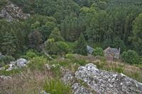 Cjp_2012_09_18_122908.jpg
