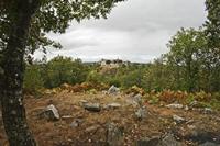 Cjp_2012_09_18_132206.jpg