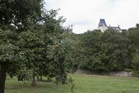 Cjp_2012_09_18_134604.jpg