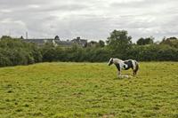 Cjp_2012_09_18_134754.jpg
