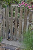 Cjp_2012_09_18_140906.jpg