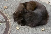Cjp_2012_09_18_150010.jpg