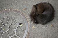 Cjp_2012_09_18_150110.jpg