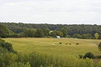 Cjp_2012_09_18_151702.jpg
