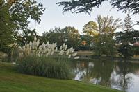 Cjp_2012_09_19_062642.jpg