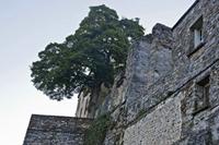 Cjp_2012_09_19_071320.jpg