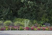 Cjp_2012_09_20_114500.jpg