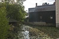 Cjp_2012_09_21_071702.jpg