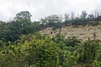 Cjp_2012_09_21_133144.jpg