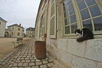 Cjp_2012_09_22_071024.jpg