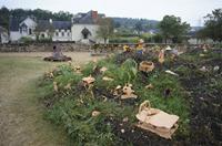 Cjp_2012_09_22_075221.jpg