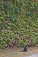 Cjp_2012_09_22_080134.jpg