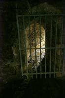 Cjp_2012_09_22_084724.jpg