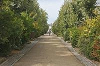Cjp_2012_09_22_100150.jpg