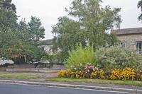Cjp_2012_09_23_070448.jpg