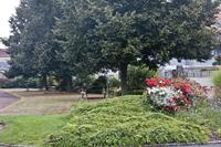 Cjp_2012_09_23_070532.jpg