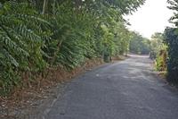 Cjp_2012_09_23_081520.jpg