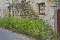 Cjp_2012_09_23_122650.jpg