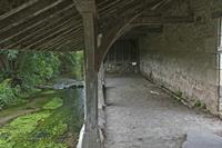 Cjp_2012_09_23_124008.jpg