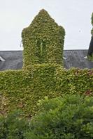 Cjp_2012_09_23_141128.jpg