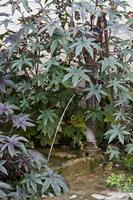 Cjp_2012_09_23_145804.jpg