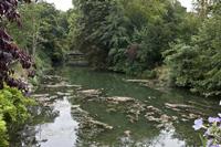 Cjp_2012_09_23_151000.jpg