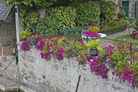 Cjp_2012_09_23_151034.jpg