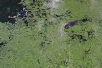 Cjp_2012_09_23_154218.jpg