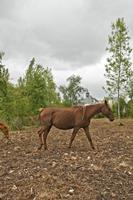 Cjp_2012_09_24_131236.jpg