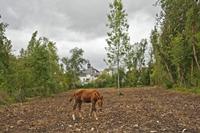 Cjp_2012_09_24_131256.jpg