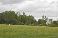 Cjp_2012_09_24_131712.jpg