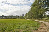 Cjp_2012_09_24_135114.jpg