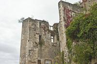 Cjp_2012_09_25_064800.jpg