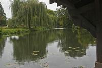 Cjp_2012_09_25_070156.jpg