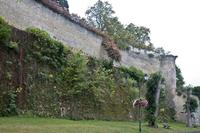 Cjp_2012_09_25_074700.jpg
