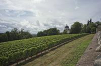 Cjp_2012_09_25_114128.jpg