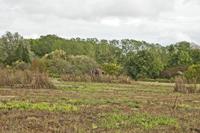 Cjp_2012_09_25_115430.jpg