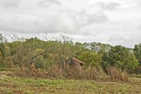 Cjp_2012_09_25_115526.jpg