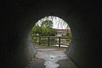 Cjp_2012_09_26_063758.jpg