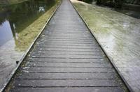 Cjp_2012_09_26_071708.jpg