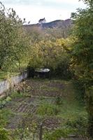 Cjp_2012_10_16_091938.jpg