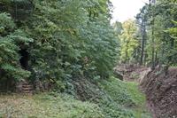 Cjp_2012_10_16_094756.jpg