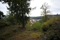 Cjp_2012_10_16_101602.jpg
