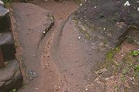 Cjp_2012_10_16_140430.jpg