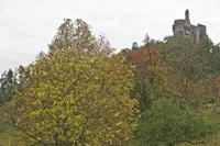 Cjp_2012_10_16_151638.jpg