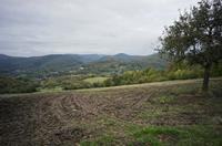 Cjp_2012_10_16_160902.jpg